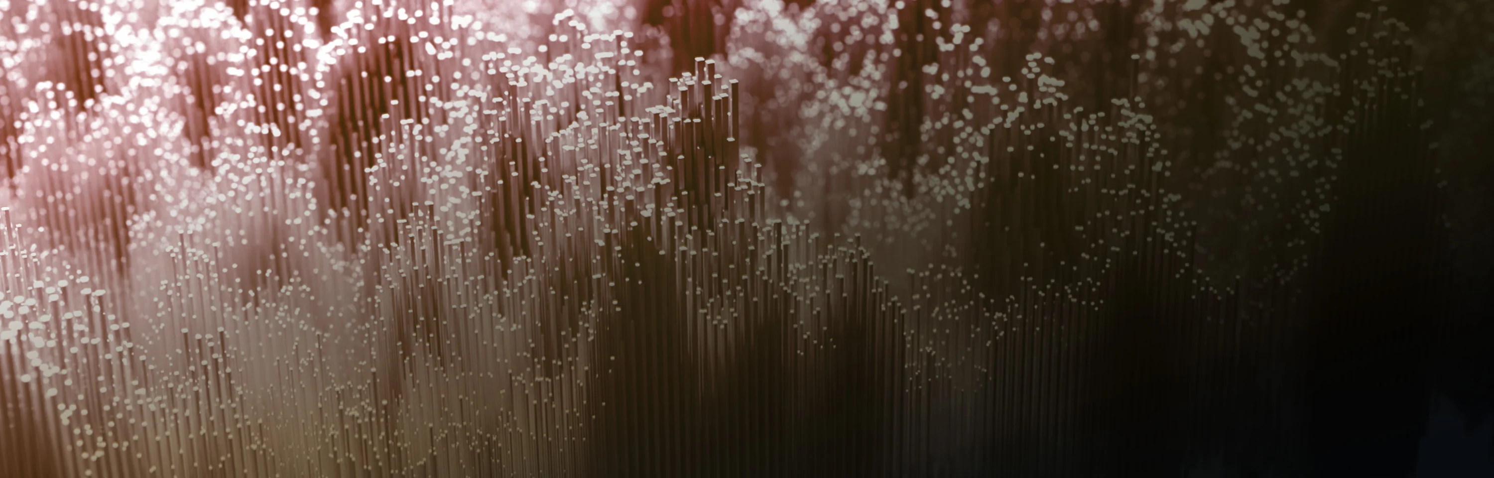 D16 Group Decimort 2