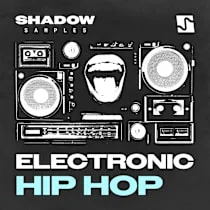 Electronic Hip Hop
