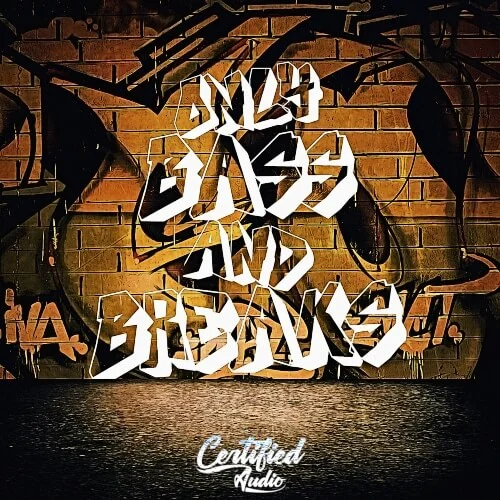 Only Bass And Breaks