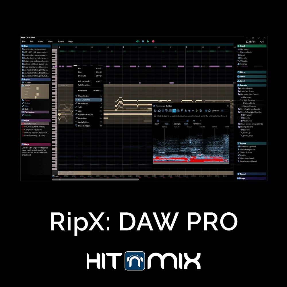 RipX: DAW PRO