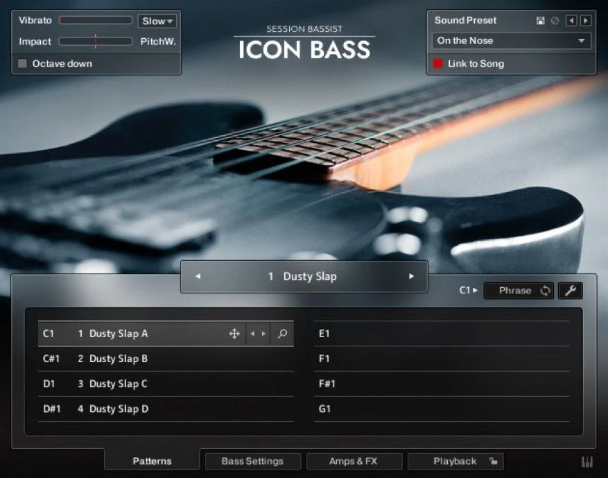 Session Bassist - Icon Bass
