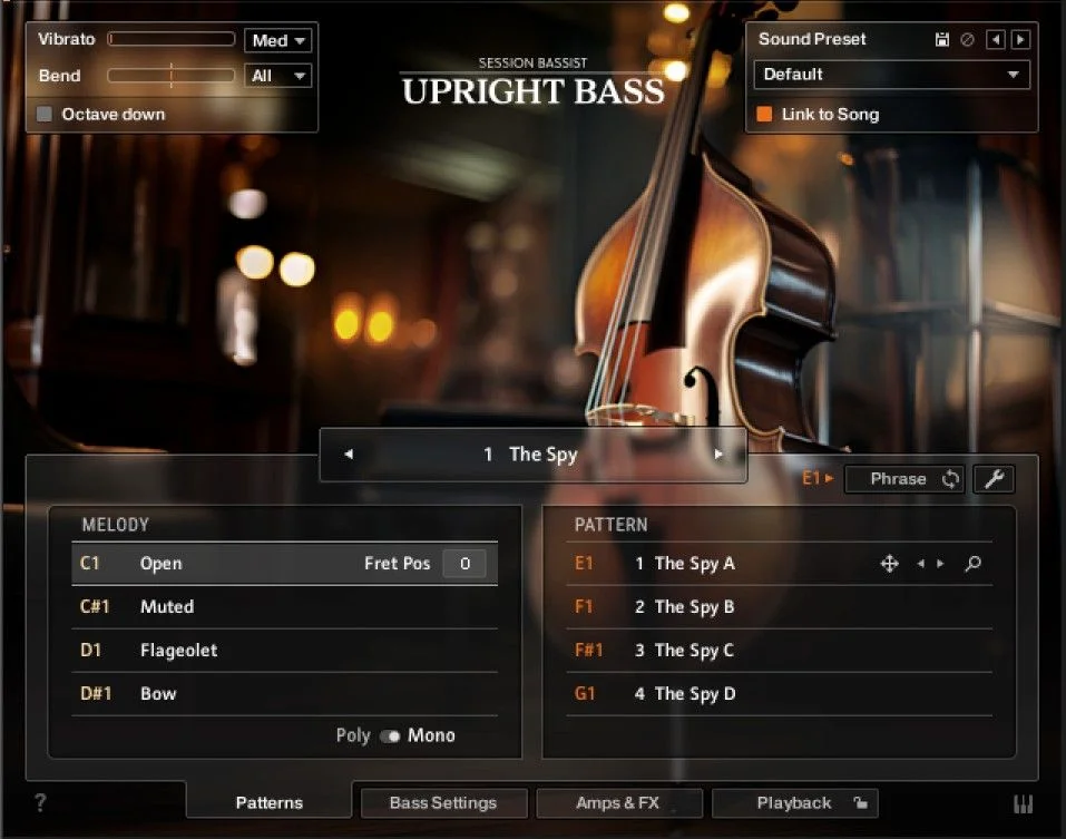 Session Bassist - Upright Bass