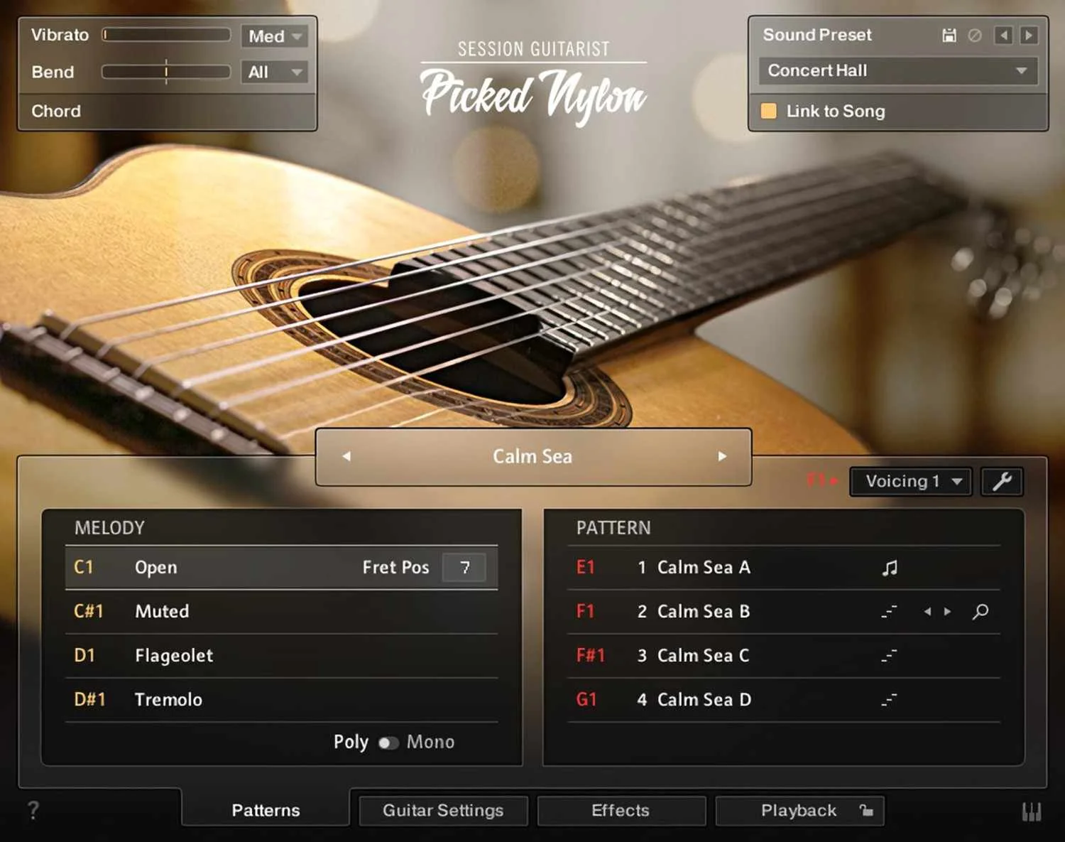Session Guitarist - Picked Nylon