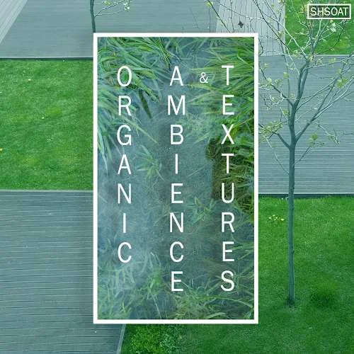 Organic Ambience and Textures by ShamanStems