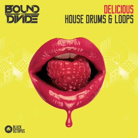 Delicious House Drums & Loops by Bound To Divide by Black Octopus