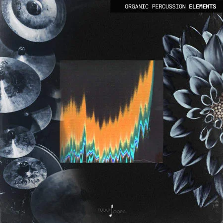 Organic Percussion Elements by Touch Loops