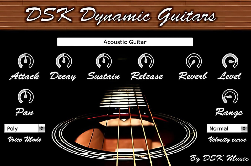 DSK-Dynamic-Guitars