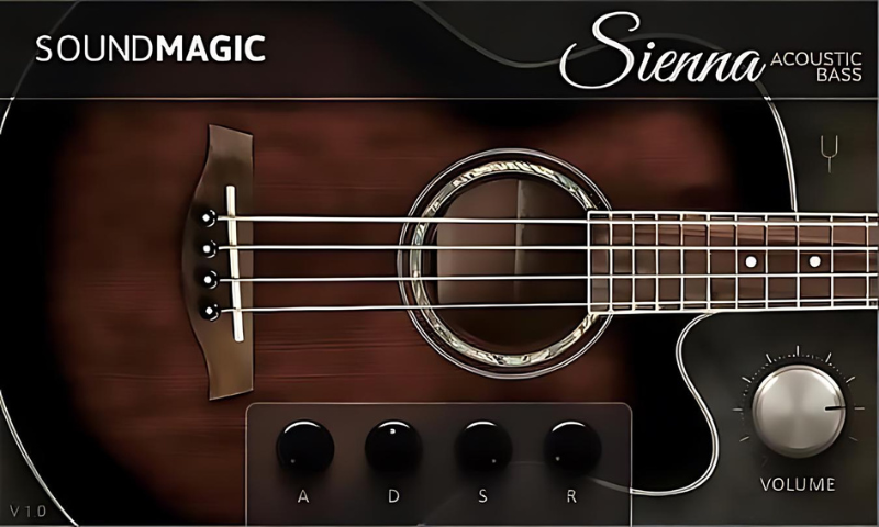 Sienna-Acoustic-Bass-by-Soundmagic Sienna Acoustic Bass interface artwork