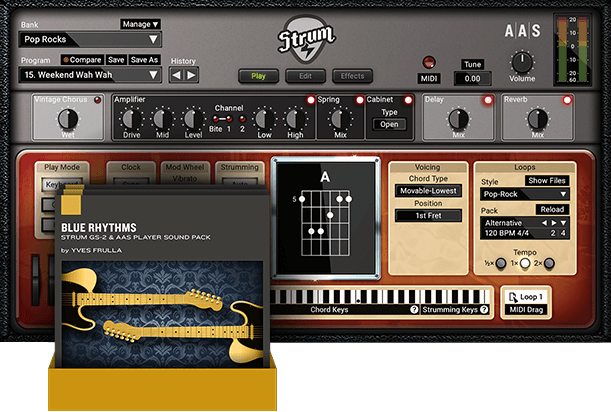 AAS Strum GS-2 + Sound Packs Bundle