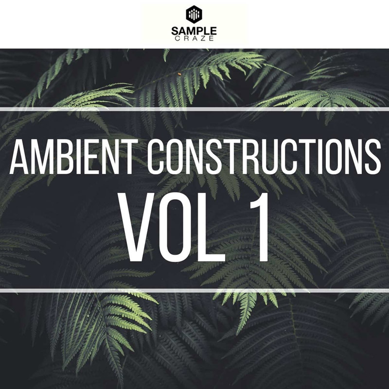 Ambient Constructions 1