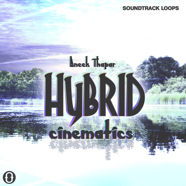Aneek Thapar Hybrid Cinematics