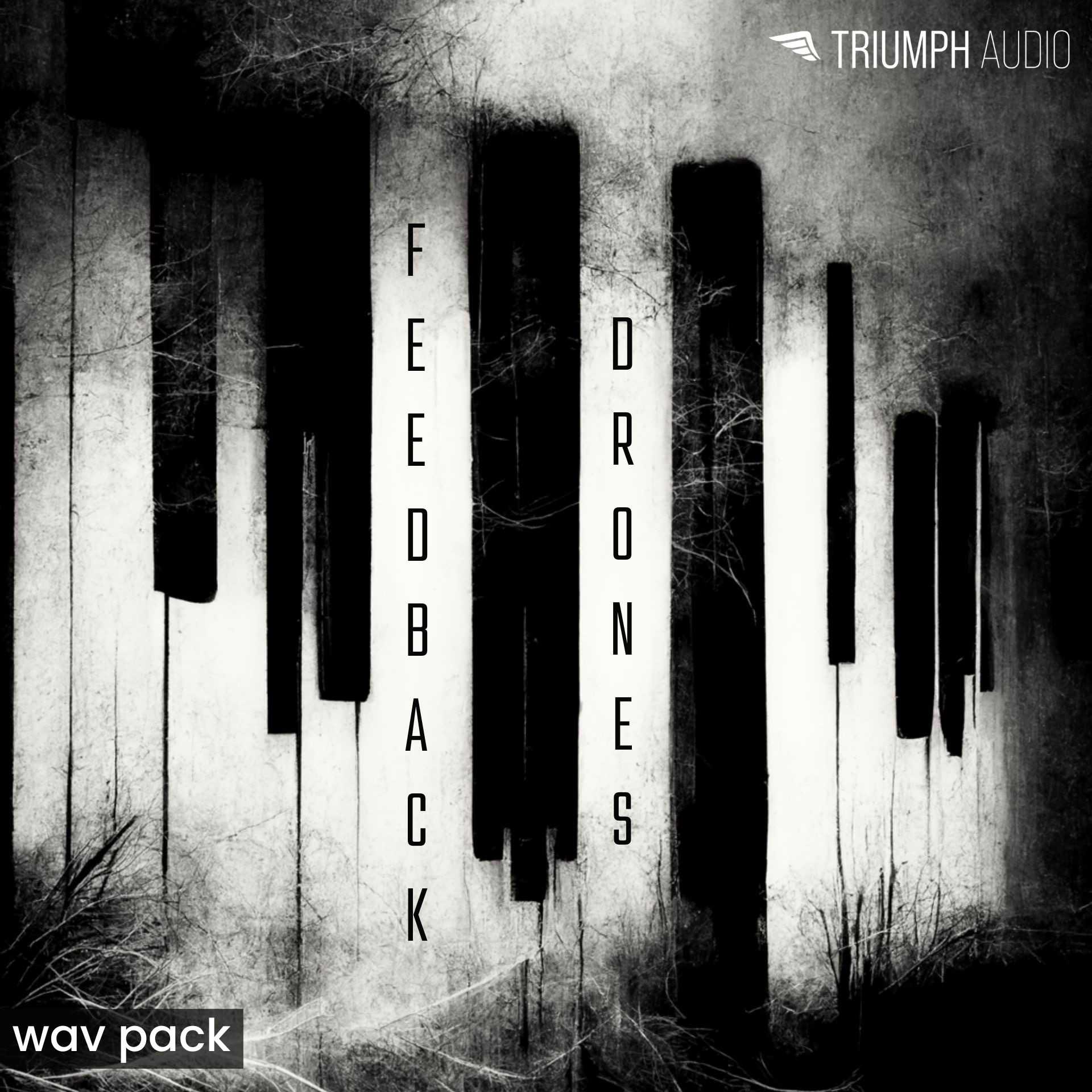 Feedback Drones - Wav Pack