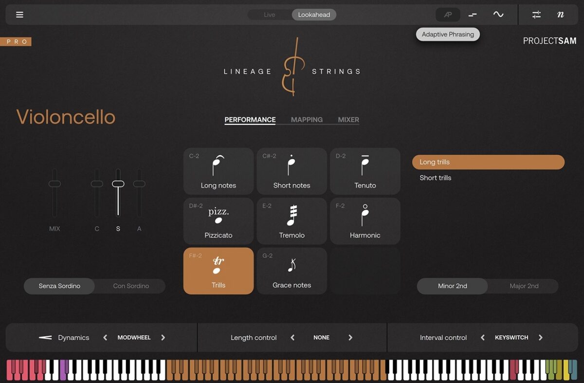Lineage Strings