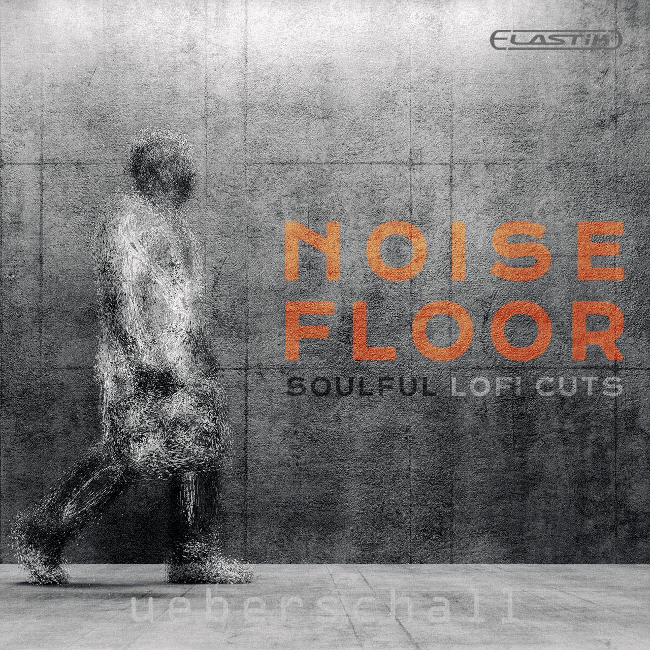Noise Floor