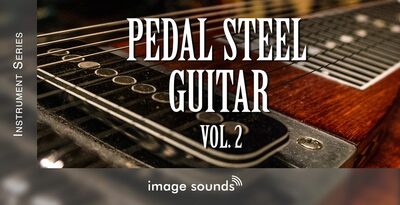 Pedal Steel Guitar 2