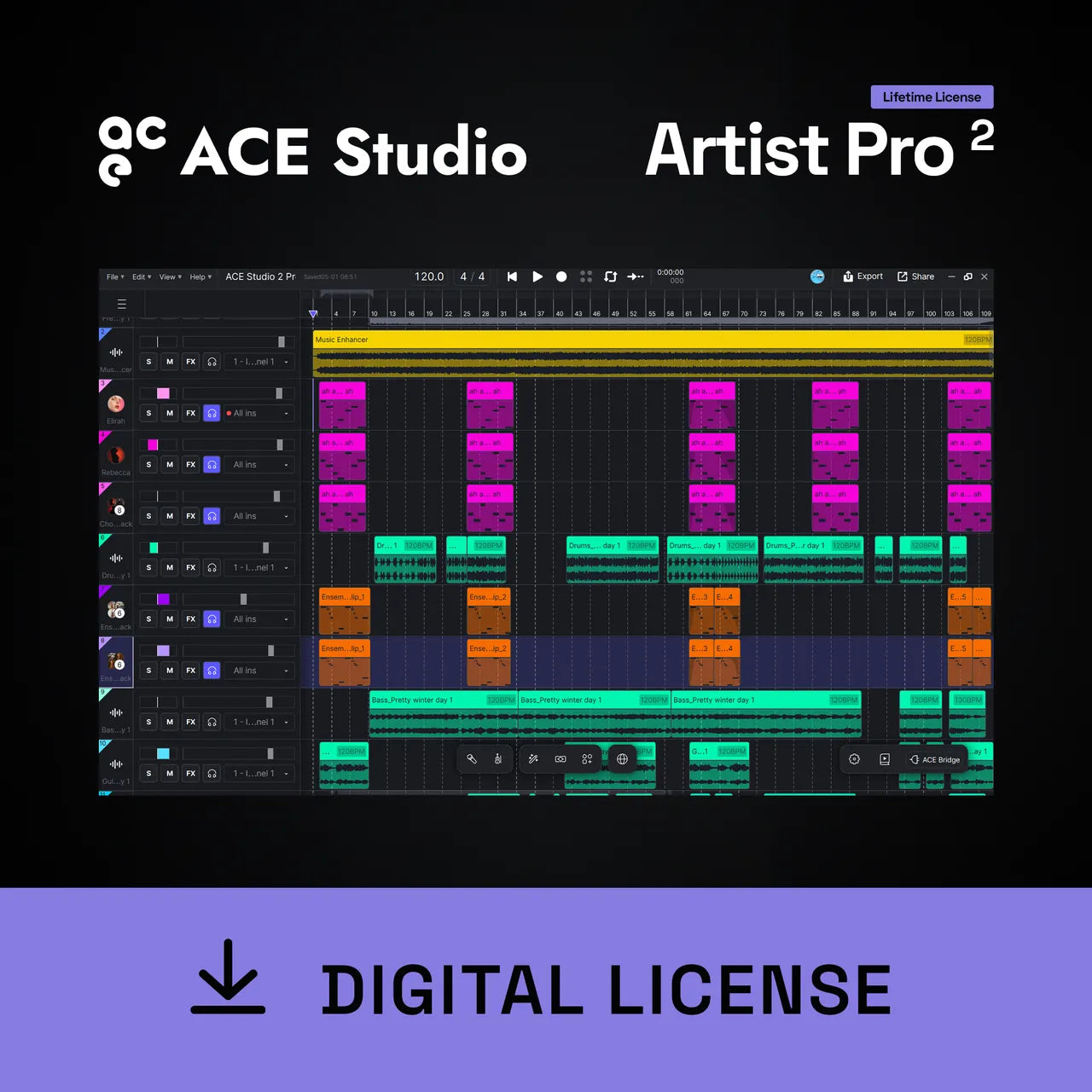 Pro Version 2.0 Lifetime License
