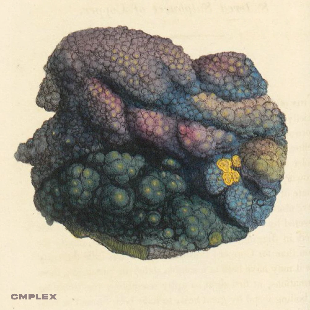 Selection Sample Pack