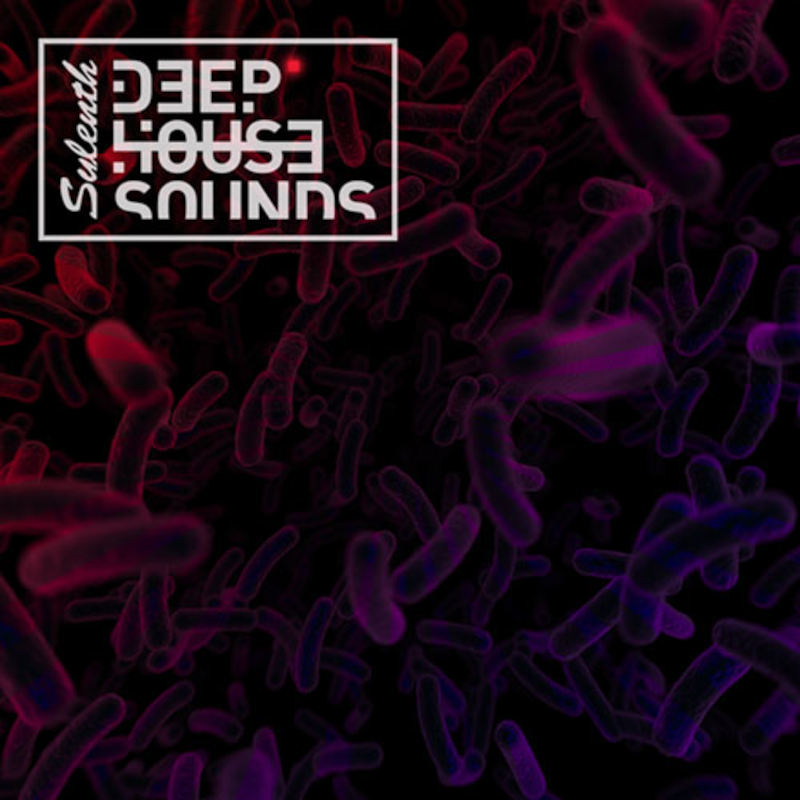 Sylenth Deep House Sounds