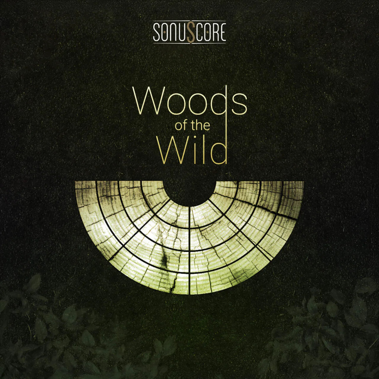 Woods Of The Wild
