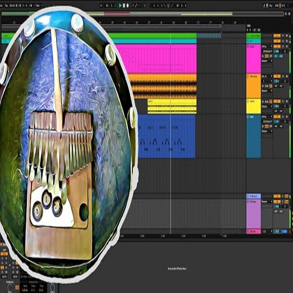 African Drum & Bass Vocal Sample