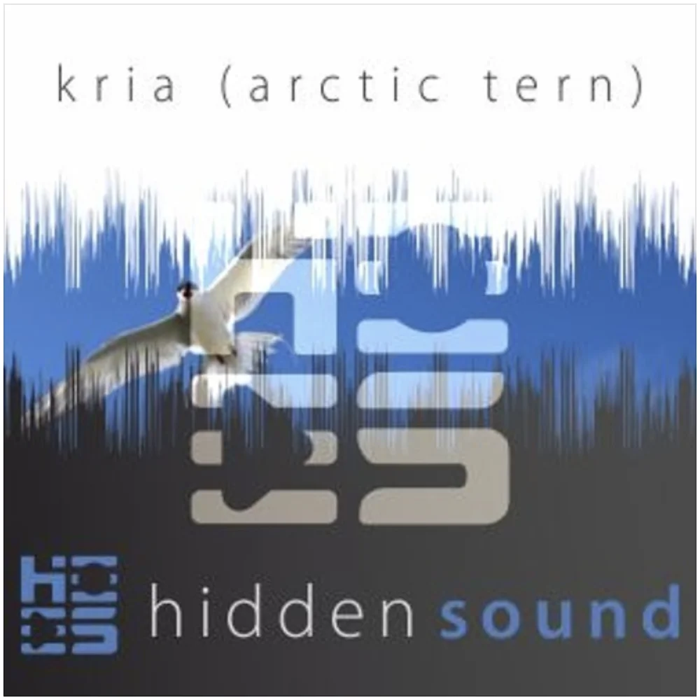 Kria (Arctic Tern) Ableton Live Pack by Hidden Sound artwork