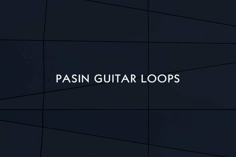Pasin Guitar Loops